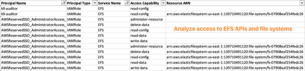 Analyze principals' access to EFS APIs and file systems